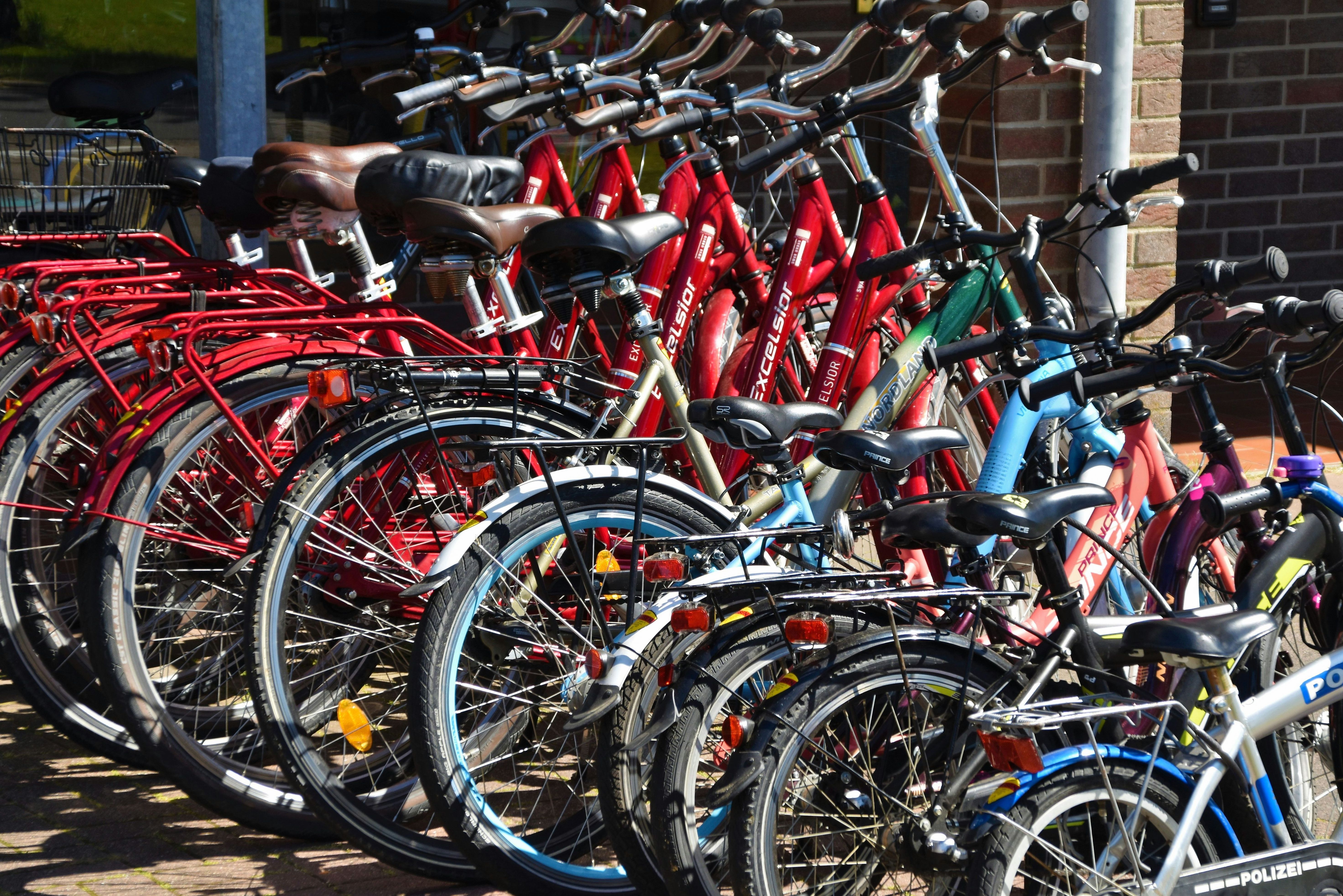 Canepol workshop with hire bikes